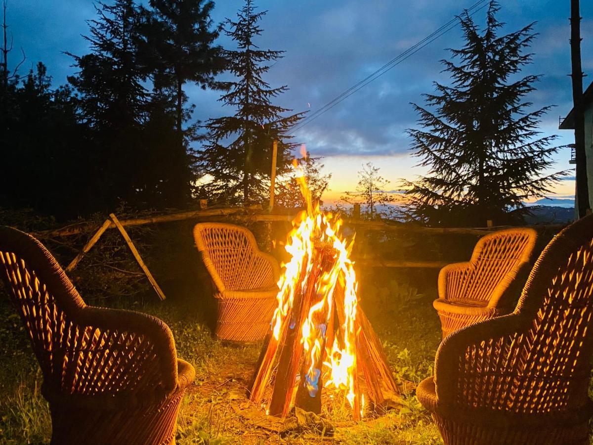 Aachman Nature Valley Resort Шімла Екстер'єр фото